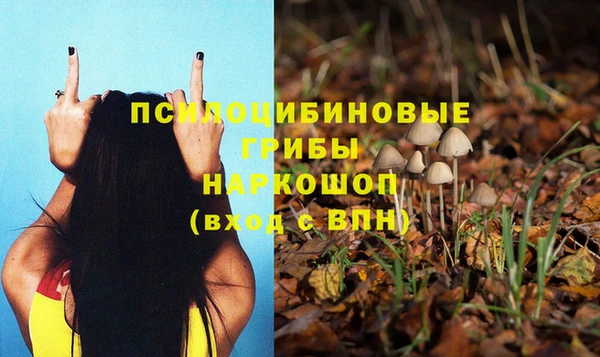 СК Семёнов