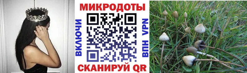 Купить  Пущино  Псилоцибиновые грибы ЛСД 