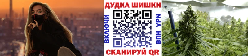 Купить где  Пущино  Канабис OG Kush 